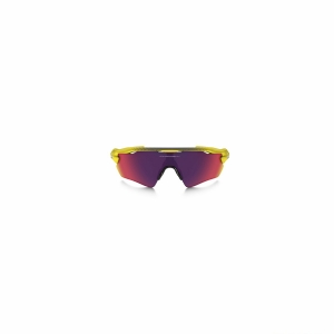 Oakley Radar EV Path Prizm TDF 920843